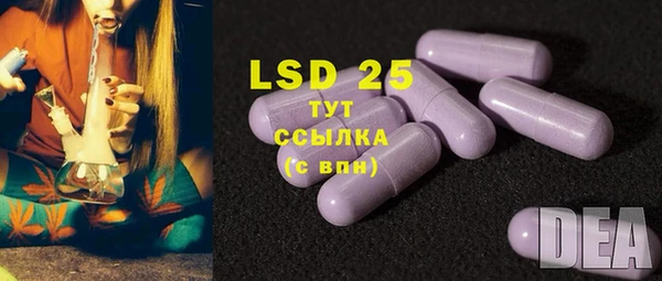 ECSTASY Горняк